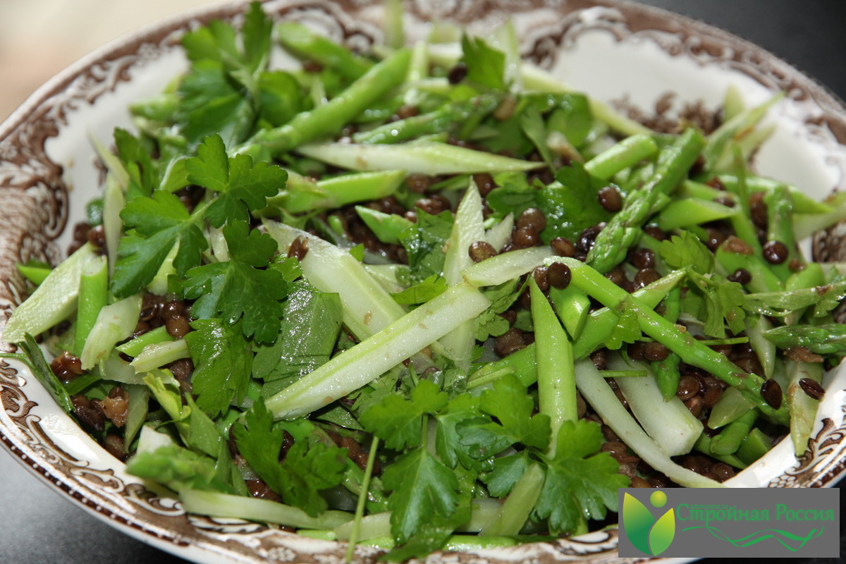 Salad-with-fennel.jpg